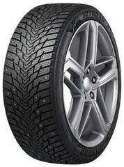 Winter Rx838