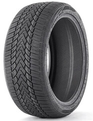 Шина Fronway Icemaster I 245/50R19 105H