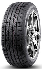 Winter Rx821
